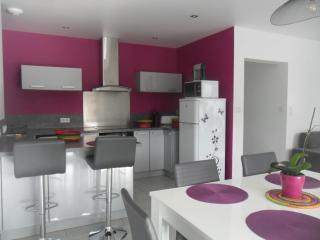 GITE URSUYA Rez de jardin et de plain-pied - Hasparren - 3