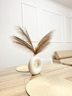 PREMIER Luxury Apartments - 2