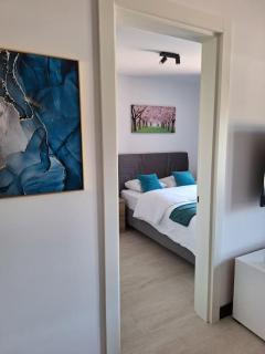 Blue Sky Apartment - Free Garage - Sarajevo - 3