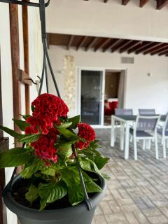 Cozy 2 Bedroom Apartment near Brakkeput Abou - Willemstad - 2