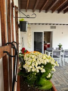 Cozy 2 Bedroom Apartment near Brakkeput Abou - Willemstad - 3