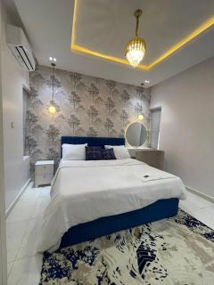Exquisitely furnished 2 bedroom apartment - Lekki - 0