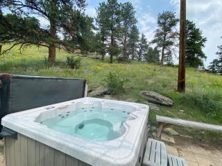 Rose Den - Romantic Mountain Cabin with Views! - 2