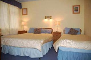 Seashore Lodge Guesthouse - Galway - 1