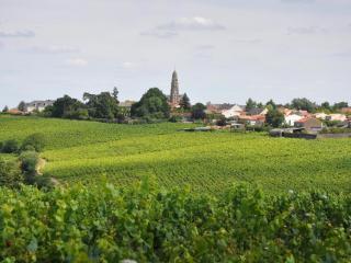 Gîte Authentique au Cœur des Vignes avec Terrasse Privative et Wifi, à 25 km de Nantes - FR-1-306-813 - Le Landreau - 1