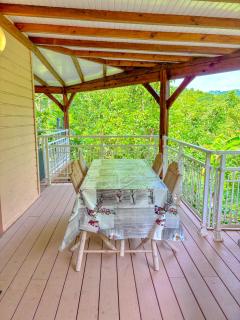 Gran Bwa la villa west indies - Sainte-Luce - 7