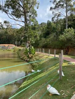 Apezinho na Serra - Petrópolis - 3
