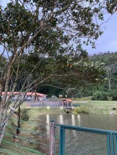 Apezinho na Serra - Petrópolis - 2