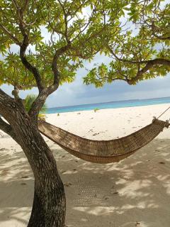 Patawan Island Resort - 1