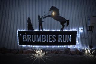 Brumbies Run - 92B Chongs Rd - Jindabyne - 4