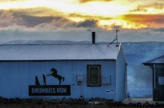 Brumbies Run - 92B Chongs Rd - Jindabyne - 3