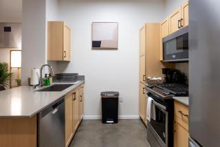 Huge luxury loft for enjoying - 4