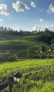 Jepun Sesandan Cottage - 1