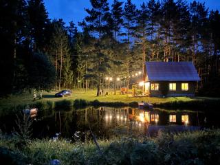 Forest house Einblūti - 7