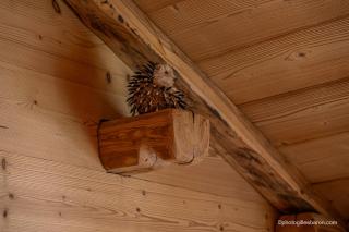 Chalet la Forestière - Orcières - 7