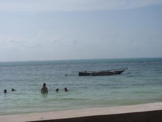 Gecko House - Jambiani - 1