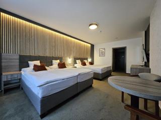 Hotel Slávia Svidník SPA & RESTAURANT - Svidník - 1