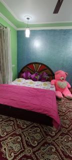 Sara inn - Srinagar - 9