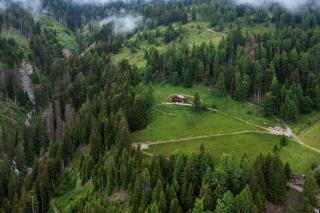 Flasswiesen Alm - Lienz - 4