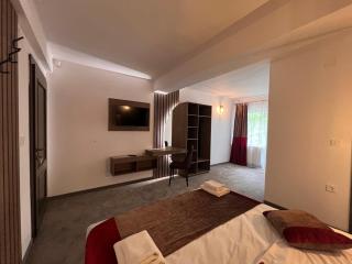 Regina Munților A - 8