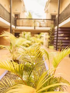 3 - LE VACOA - CHAMBRE 3 - Rdc D - Saint-Paul - 7