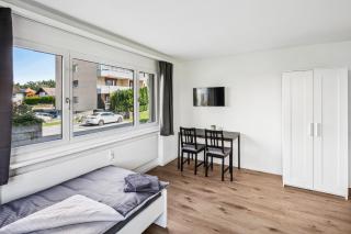FENUS Geräumige Ferienwohnung in ruhiger Lage SGT03 - Sennwald - 6