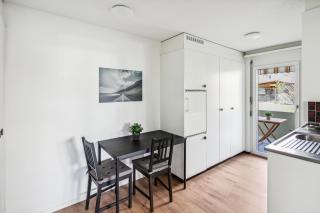 FENUS Geräumige Ferienwohnung in ruhiger Lage SGT03 - Sennwald - 5