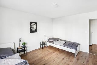 FENUS Geräumige Ferienwohnung in ruhiger Lage SGT03 - Sennwald - 7