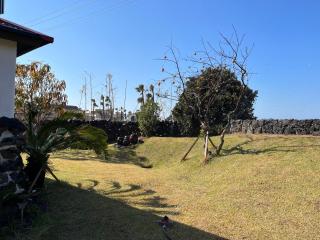 Juwoldam - Jeju - 8