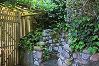 In a Forest by the Sea - Kommetjie - 6