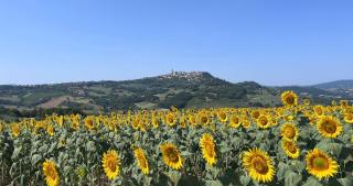 Colle Costanza - Todi - 7