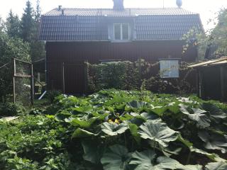 Spacious accommodation, close to nature and attractions - Alvesta - 4