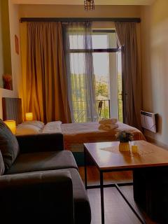 Apartment #102 in aparthotel - Tsaghkadzor - 0