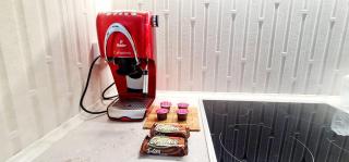 CENTRAL CHIC APARTAMENT with SPA and GYM - 4