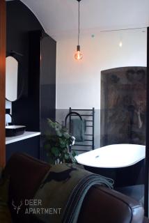 Deer Apartment - exclusive apartment Jihlava - Jihlava - 1