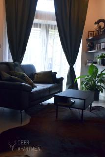 Deer Apartment - exclusive apartment Jihlava - Jihlava - 7