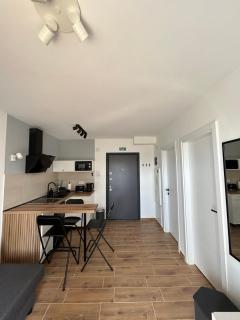 Apartman Chilla - Veliko Gradište - 7