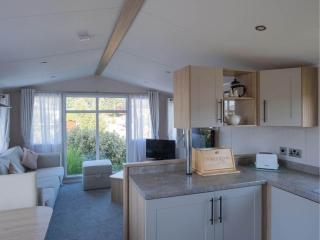 Pinewoods Park Style no.8 sleeps 6 – dog friendly - Wells next the Sea - 5