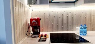 CENTRAL CHIC APARTAMENT with SPA and GYM - 0