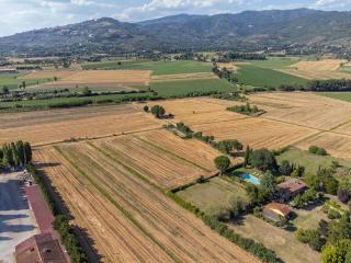 Villa Marconi - Cortone - 5