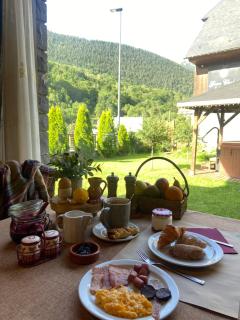 GRAN CHALET Hotel & Petit SPA - Vielha - 4