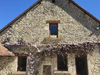 Gîte écologique de charme avec grand jardin, proche des Alpes Mancelles, idéal famille et amis - FR-1-410-132 - Moulins-le-Carbonnel - 2