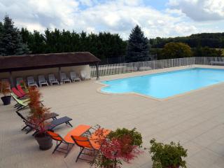 Maison de Charme avec Piscine Chauffée et Tennis à Proximité du Zoo de Beauval - FR-1-591-26 - Villentrois - 7