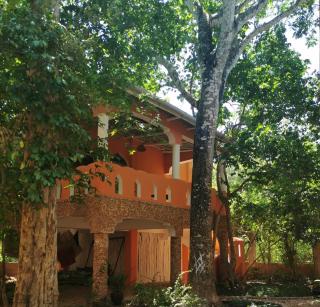 Arte Noah Treehouses Diani-Beach - Diani Beach - 5