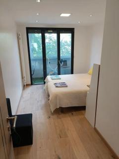 T3 - GARE -CENTRE VILLE- PARKING- Calme - WIFI - NETFLIX - CANALP PRIME VIDEO - Annecy - 2