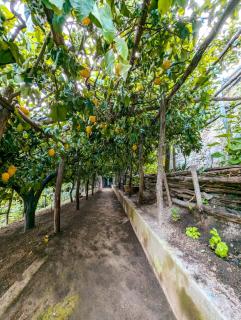 Casa Emi - Amalfi - 0