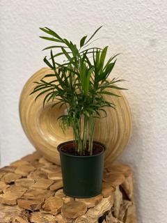 Sahara Hosting Apartments Nürnberg City Room 3 - Norimberga - 3