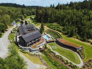 Hotel Restaurant Waldsägmühle - Pfalzgrafenweiler - 8