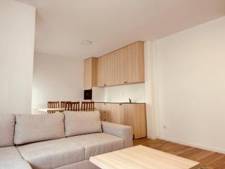 Spacious apartment next to Royall Mall on B Street - Pristina - 6