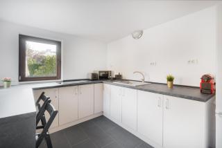 Thermalis Groove - Baile Felix - 2